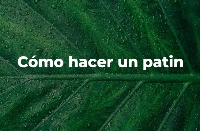 Cómo Hacer un Patin