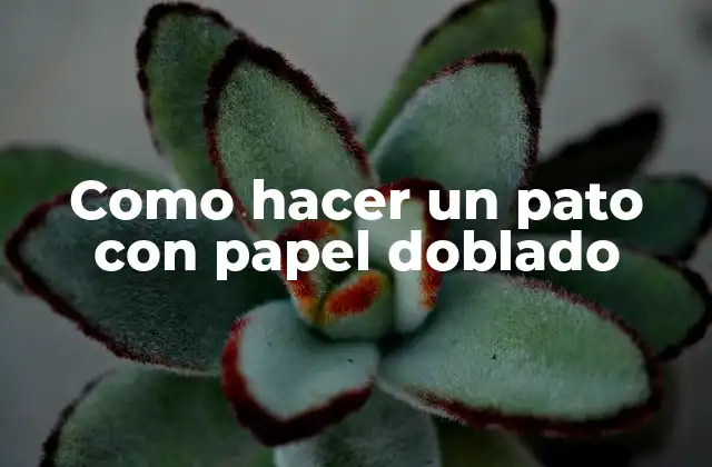 Como Hacer un Pato con Papel Doblado