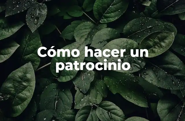 Cómo Hacer un Patrocinio