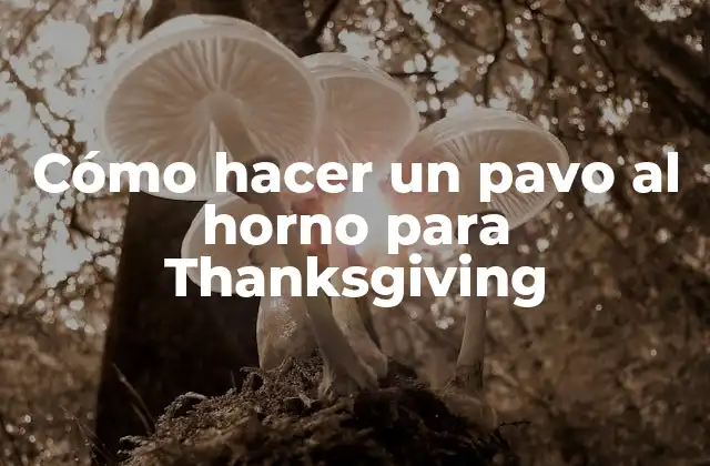 Cómo Hacer un Pavo Al Horno para Thanksgiving