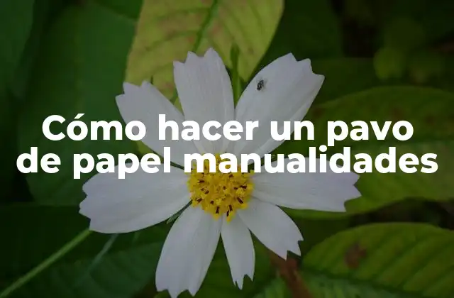 Cómo Hacer un Pavo de Papel Manualidades