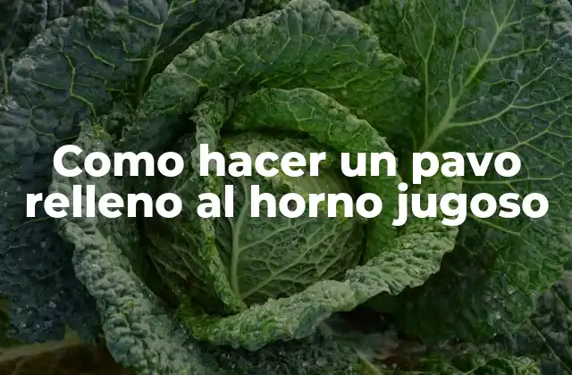Como Hacer un Pavo Relleno Al Horno Jugoso