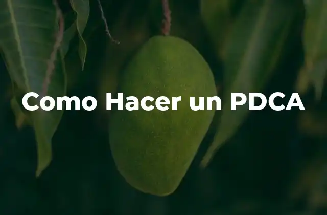 Como Hacer un Pdca