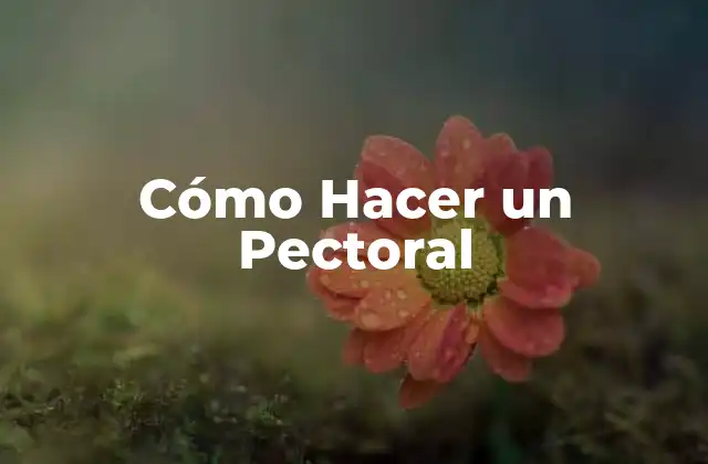 Cómo Hacer un Pectoral