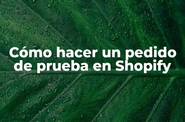 Cómo Hacer un Pedido de Prueba en Shopify