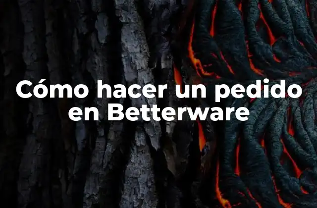 Cómo Hacer un Pedido en Betterware 2 ¿Qué es Betterware y cómo funciona?
