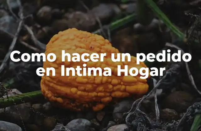 Como Hacer un Pedido en Intima Hogar