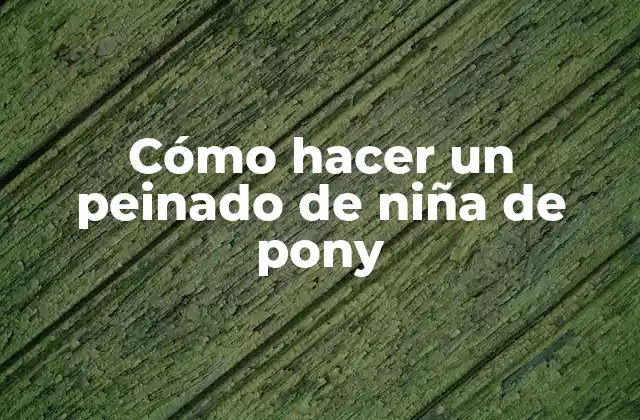 Cómo Hacer un Peinado de Niña de Pony