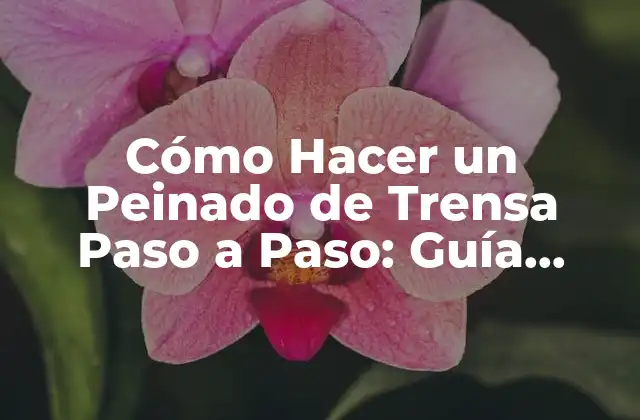 Cómo Hacer un Peinado de Trensa Paso a Paso: Guía Completa