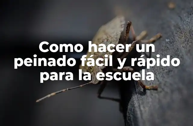 Como Hacer un Peinado Fácil y Rápido para la Escuela