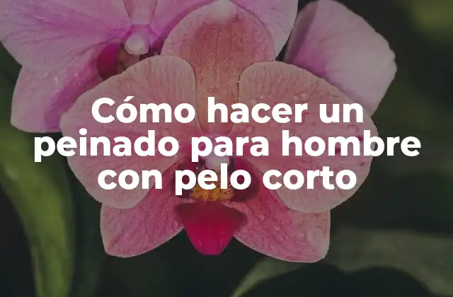 Cómo Hacer un Peinado para Hombre con Pelo Corto