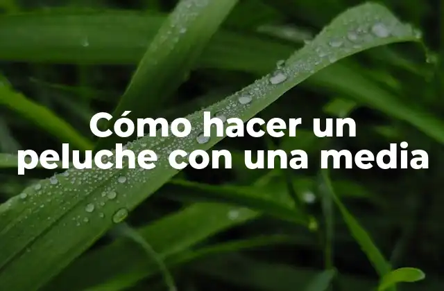 Cómo Hacer un Peluche con una Media