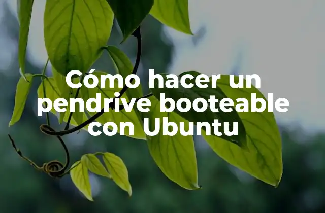 Cómo hacer un pendrive booteable con Ubuntu
