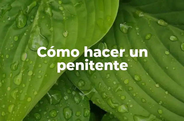 Cómo Hacer un Penitente