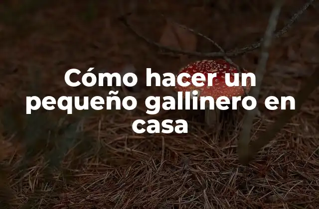 Cómo Hacer un Pequeño Gallinero en Casa