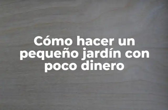 Cómo Hacer un Pequeño Jardín con Poco Dinero