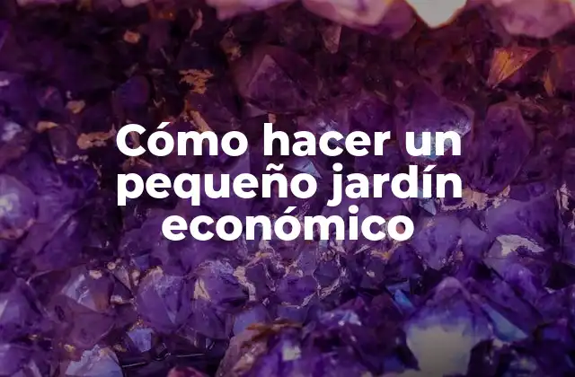 Cómo Hacer un Pequeño Jardín Económico