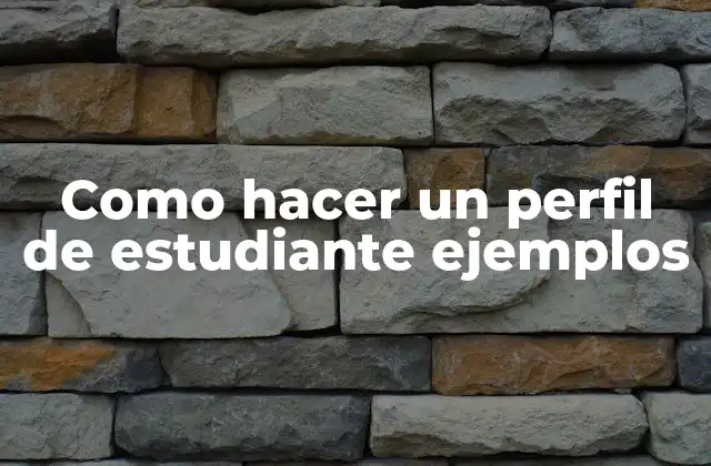 Como Hacer un Perfil de Estudiante Ejemplos