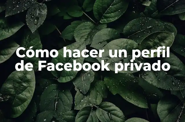 Cómo Hacer un Perfil de Facebook Privado