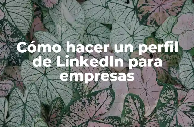 Cómo Hacer un Perfil de Linkedin para Empresas