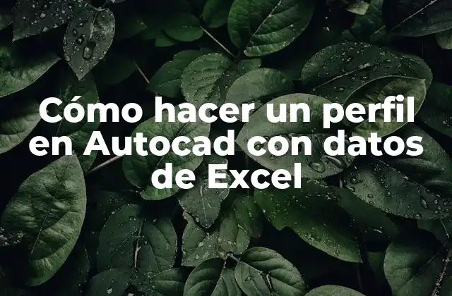 Cómo Hacer un Perfil en Autocad con Datos de Excel
