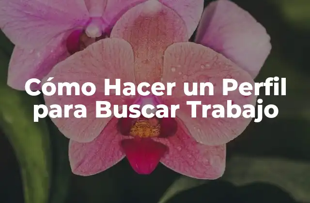 Cómo Hacer un Perfil para Buscar Trabajo