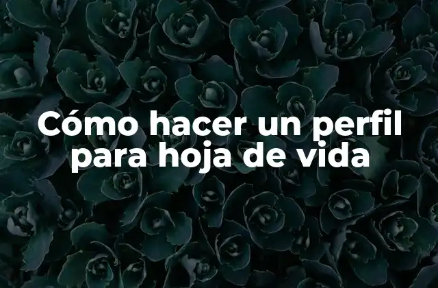 Cómo Hacer un Perfil para Hoja de Vida