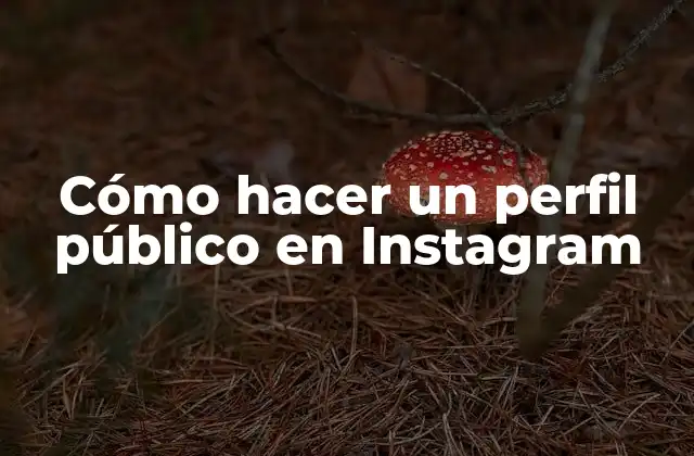 Cómo Hacer un Perfil Público en Instagram