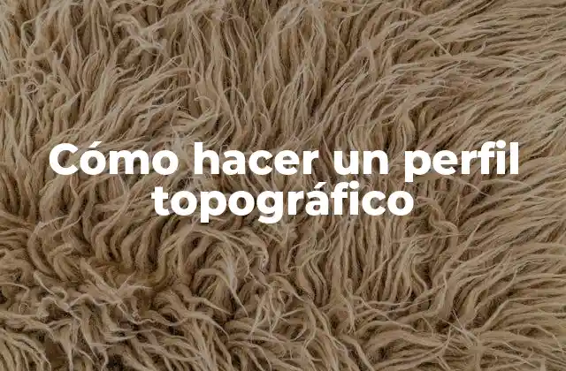 Cómo Hacer un Perfil Topográfico