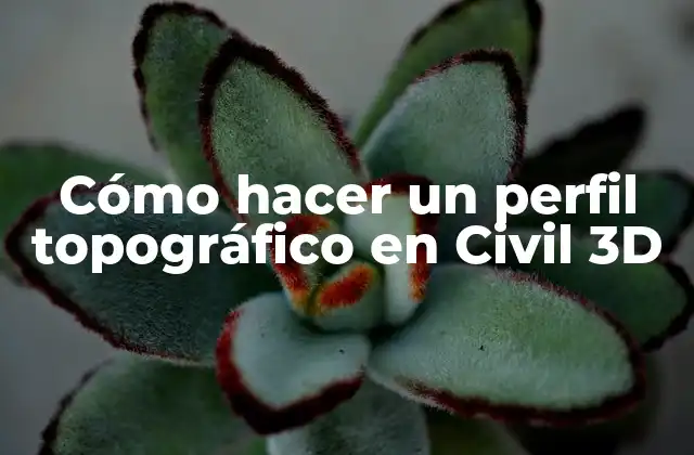 Cómo Hacer un Perfil Topográfico en Civil 3d