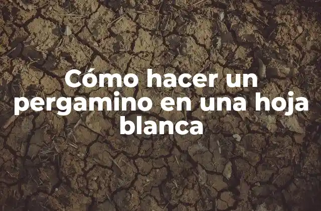 Cómo Hacer un Pergamino en una Hoja Blanca