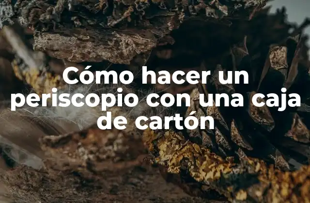 Cómo Hacer un Periscopio con una Caja de Cartón