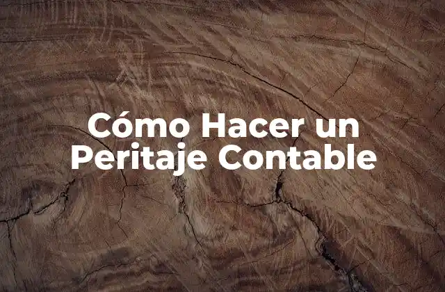 Cómo Hacer un Peritaje Contable