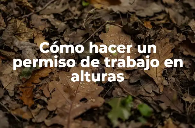 Cómo Hacer un Permiso de Trabajo en Alturas