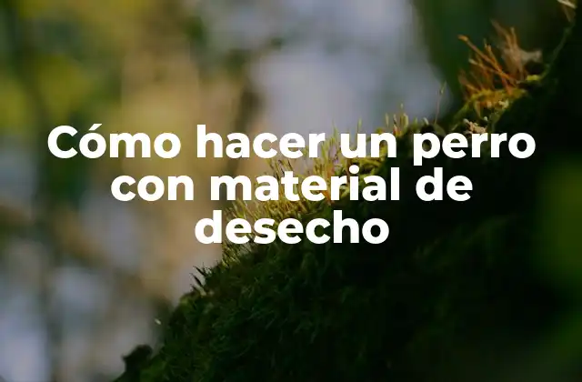 Cómo Hacer un Perro con Material de Desecho
