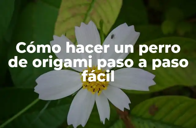 ¿Qué es el origami y para qué sirve?