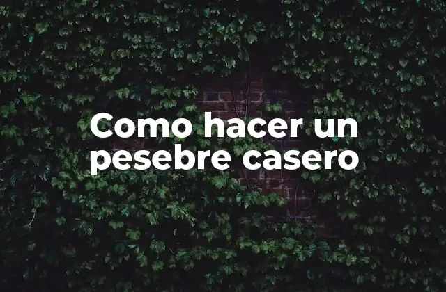 Como Hacer un Pesebre Casero 2 ¿Qué es un pesebre casero?