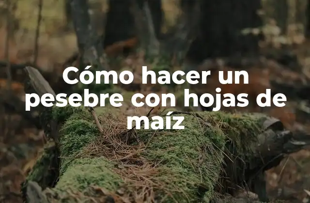 Cómo Hacer un Pesebre con Hojas de Maíz