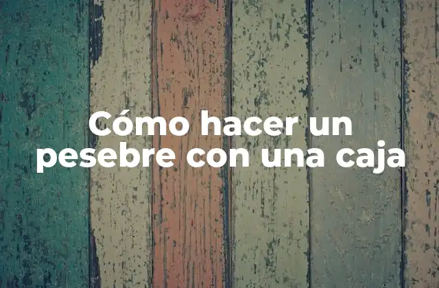 Cómo Hacer un Pesebre con una Caja