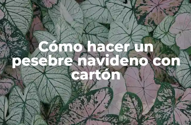 Cómo Hacer un Pesebre Navideno con Cartón