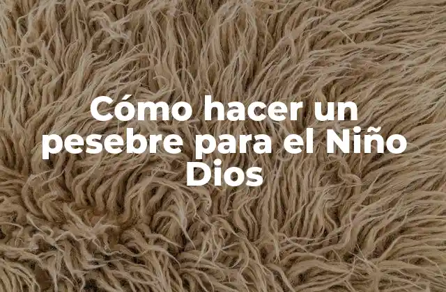 Cómo Hacer un Pesebre para el Niño Dios 2 Cómo hacer un pesebre para el Niño Dios