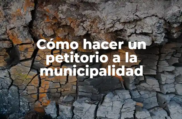 Cómo Hacer un Petitorio a la Municipalidad