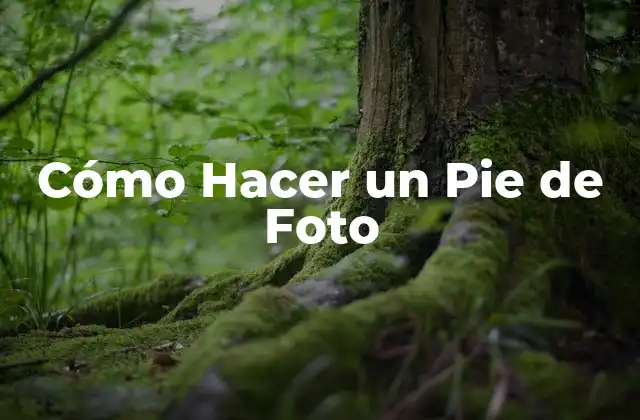 ¿Qué es un Pie de Foto y para Qué Sirve?