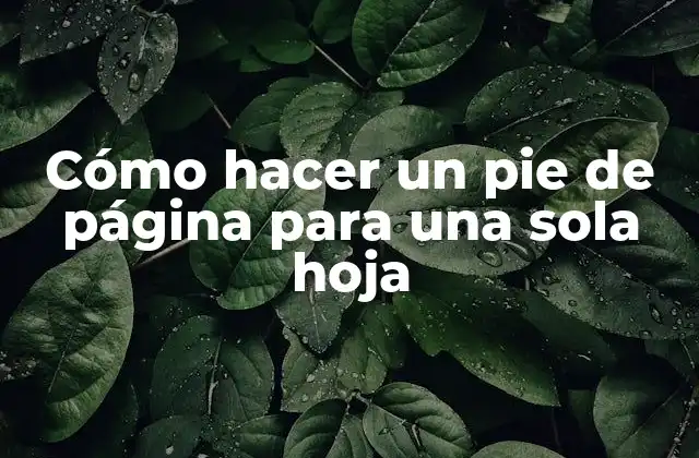 Cómo Hacer un Pie de Página para una Sola Hoja