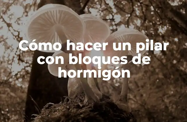 Cómo Hacer un Pilar con Bloques de Hormigón