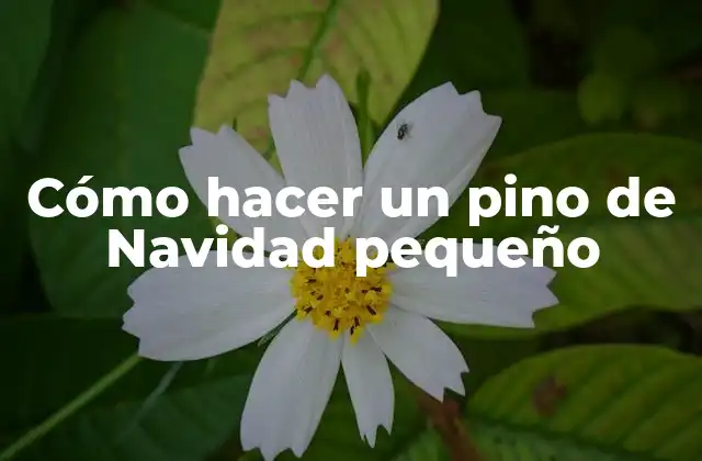 Cómo Hacer un Pino de Navidad Pequeño