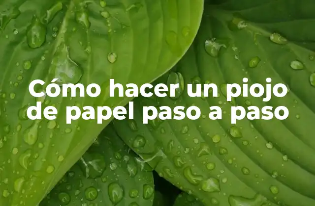 Cómo Hacer un Piojo de Papel Paso a Paso