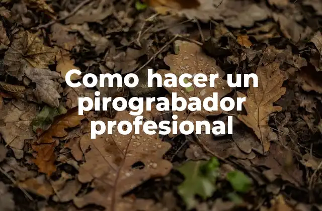 Como Hacer un Pirograbador Profesional