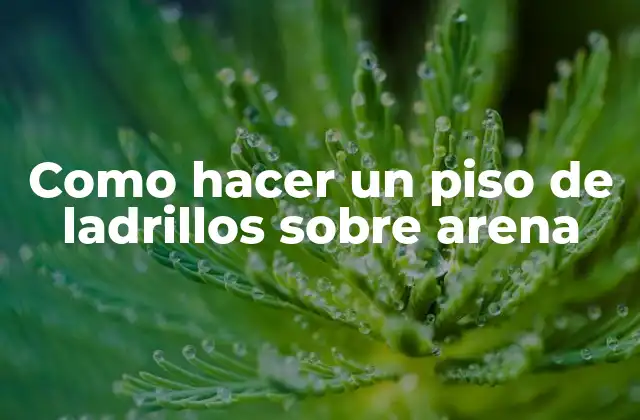 Como Hacer un Piso de Ladrillos sobre Arena