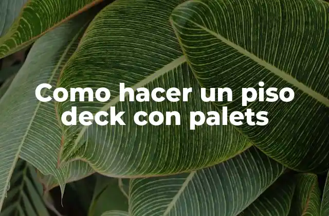 Como Hacer un Piso Deck con Palets